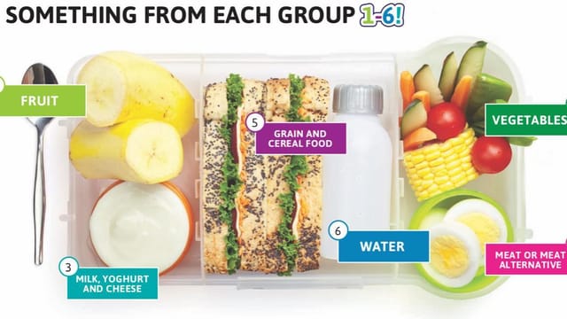 THE BALANCED LUNCH BOX: your child’s TOOL KIT FOR LEARNING, PLAY &amp; GROWTH